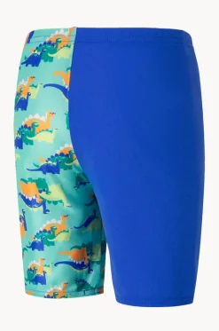 Boys Dinosaur Jammer|Speedo Outlet