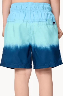 Boys Dip Volley Boardshort|Rip Curl Hot