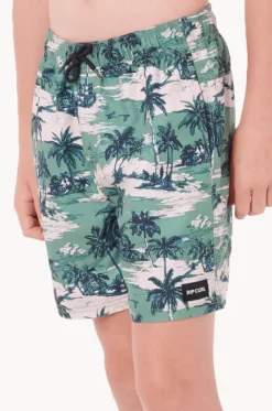 Boys Dreamers Volley Boardshort|Rip Curl Discount