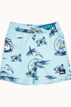 Boys Everyday Mix 13" Volley Boardshort|Quiksilver Best