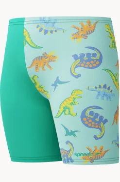 Boys Print Jammer|Speedo Clearance