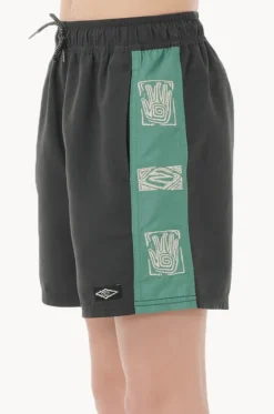 Boys Tropic Daze Panel Volley Boardshort|Rip Curl Best