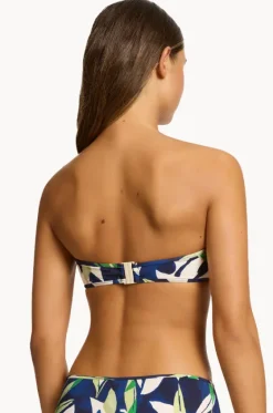 Fauna Bandeau|Jets Clearance