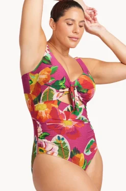Le Recife Cezanne D/DD Cup One Piece|Artesands Sale