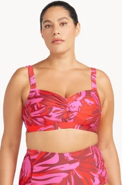 Les Fauves Botticelli Bra|Artesands Sale