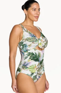 Lushara Cezanne D/DD Cup One Piece|Artesands Outlet