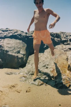 Mens Coffs Sydney Boardshort|Coast Discount