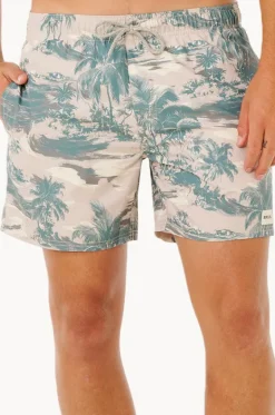 Mens Dreamers Volley Boardshort|Rip Curl